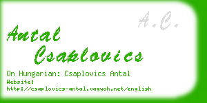 antal csaplovics business card